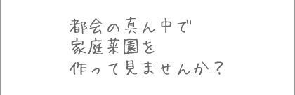 都会の真ん中で家庭菜園を作って見ませんか？