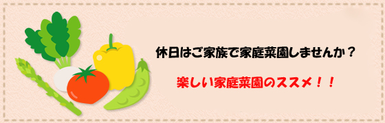 お庭がないからって諦めてしまっていませんか？「マンション菜園のススメ」